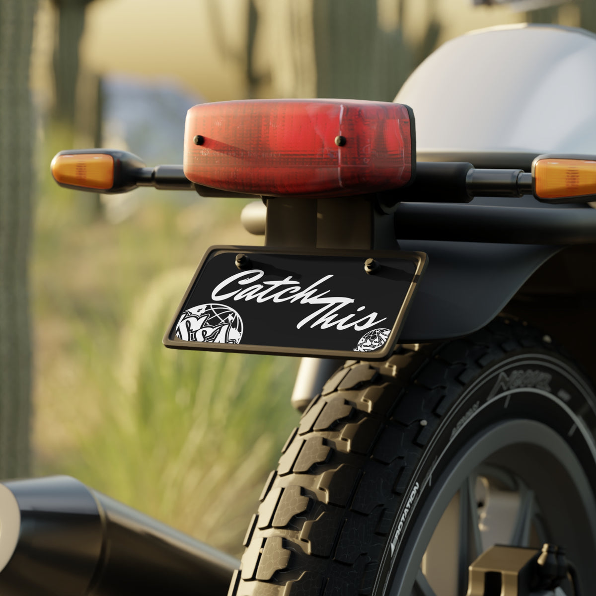 "Catch This" License Plate Cover for Content Creators.